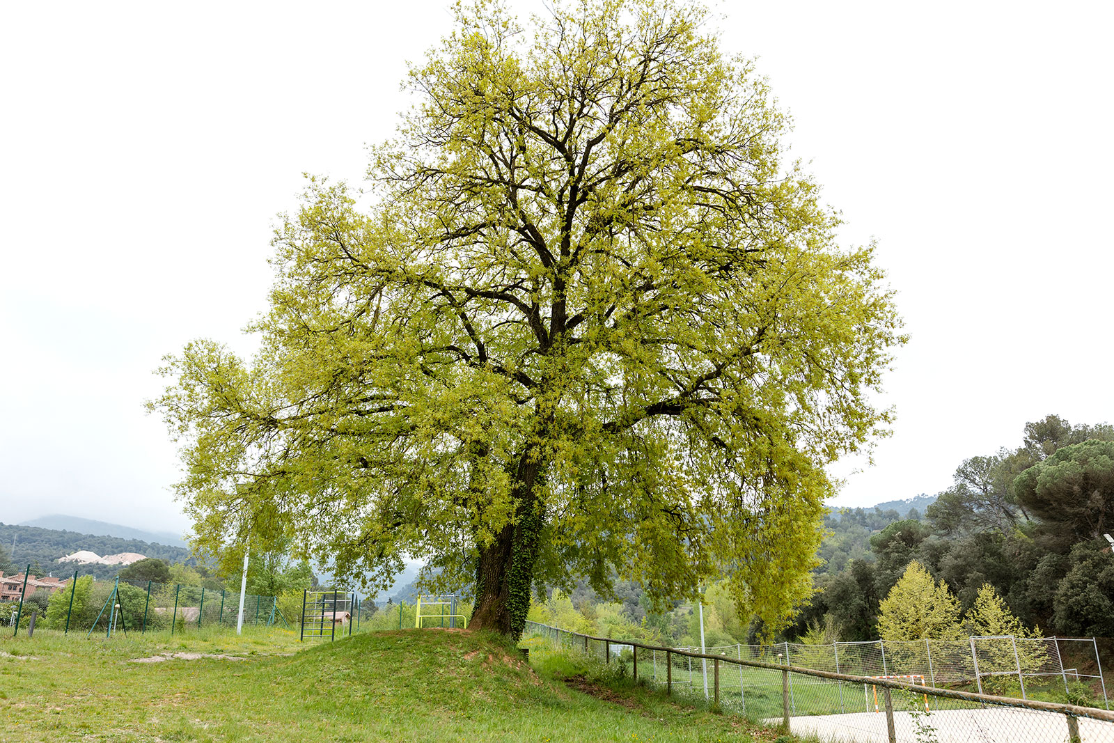Pista poliesportiva de l'Oller