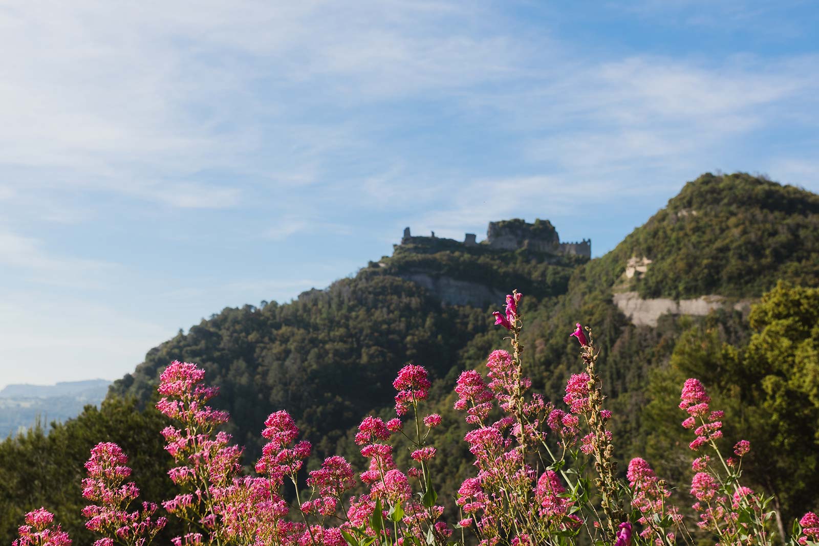 Castell de Sant Martí