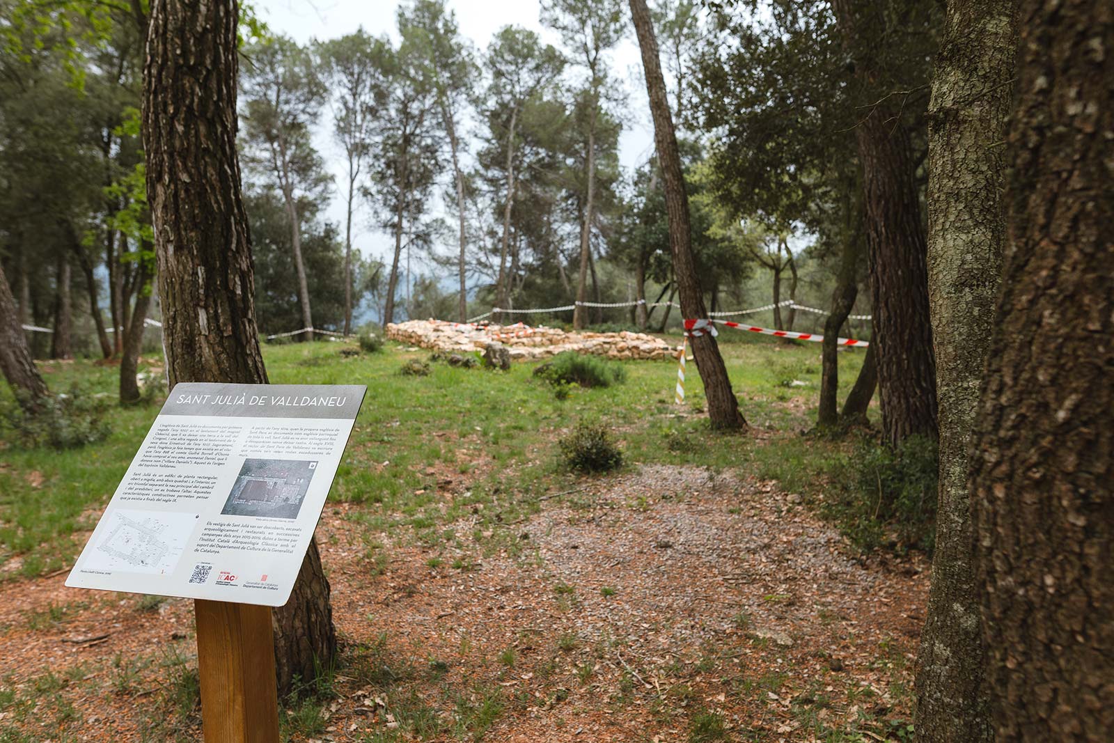 Jaciment arqueològic de Sant Julià de Valldaneu